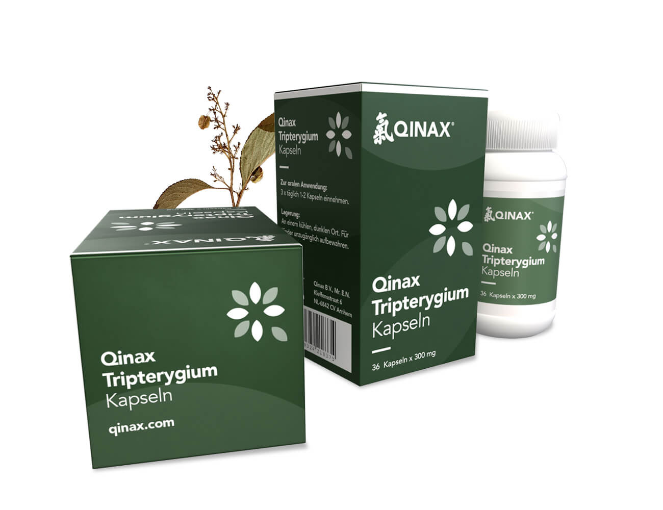 Qinax Tripterygium Capsules